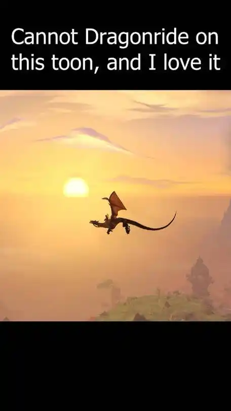 有外国网友在空中使用飞行坐骑时……|飞行坐骑|飞龙_新浪新闻