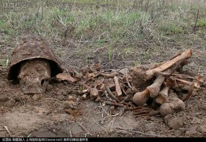 二战苏军遗体 60年后依然杀气腾腾