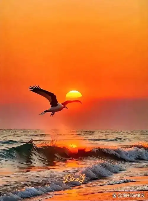 仲夏】 词/陈绪友 落日熔金处,天地自然间. 霞光如火,染尽天际彩云边.