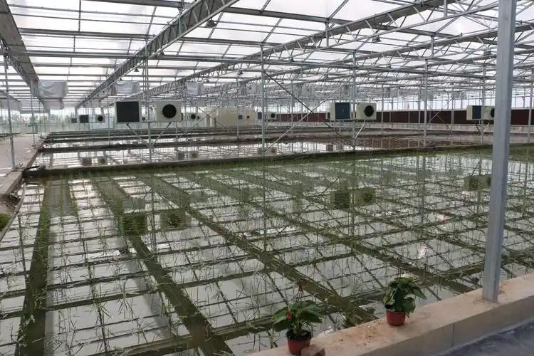 销往全国的反季节蔬菜超2万吨,智能温室控制系统富了村民火了旅游