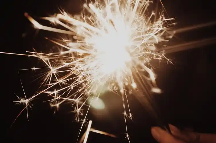 金数据隐私政策