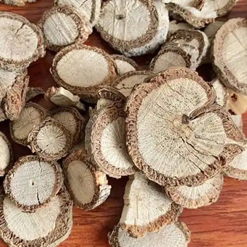 中药材:木通(饮片)川木通:切片边缘不整齐,残存皮部黄棕色,木部浅黄