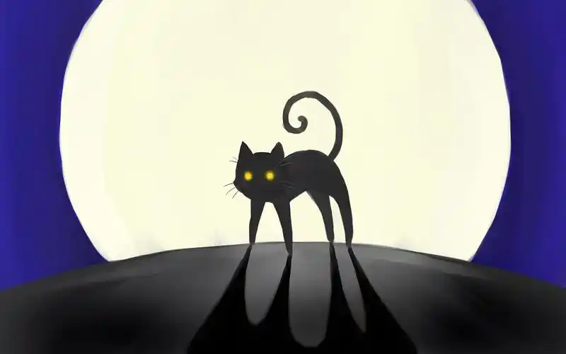 这个算是应付计划简单画的,画了我最喜欢的小黑猫.