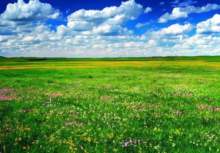 天边草原乌拉盖,锡林郭勒原生态游牧文化7日_锡林浩特市_火山_前往