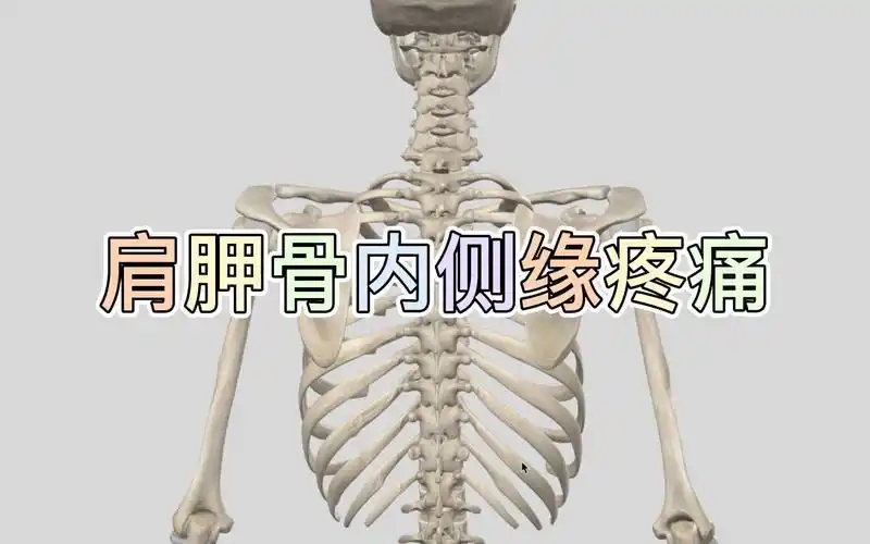 肩胛骨内侧缘疼痛的处理思路