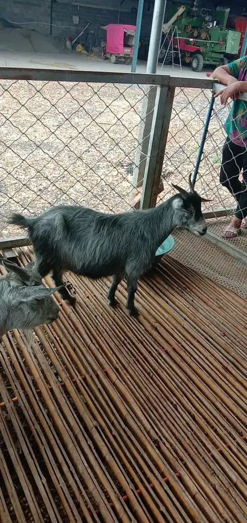 发布信息,请使用万农网app