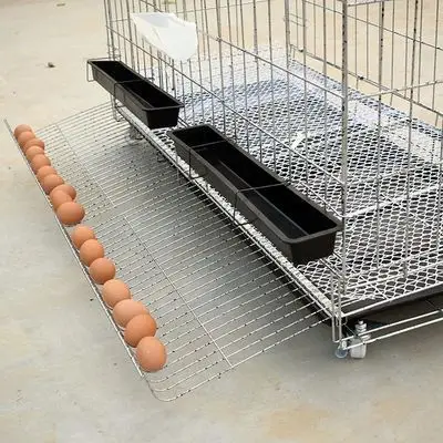 折叠滚蛋养鸡铁丝网特大号鸡笼鸡舍笼子