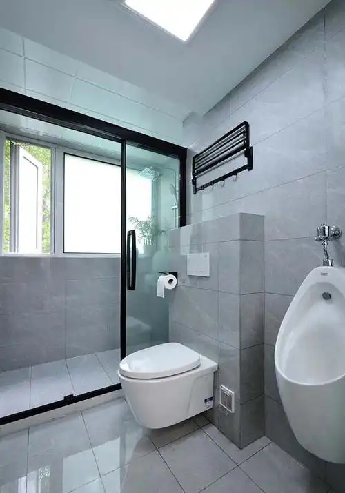 壁挂式马桶摆放设计效果图2