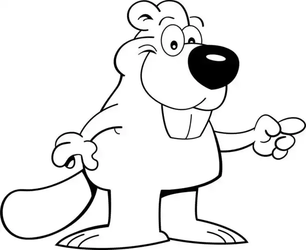 卡通海狸指向,指着一只海狸的黑色和白色插图.