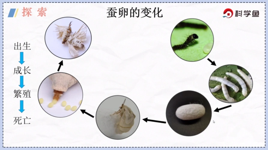 (慎入)印度男子脸部巨大肿瘤被切除 希望找到真爱