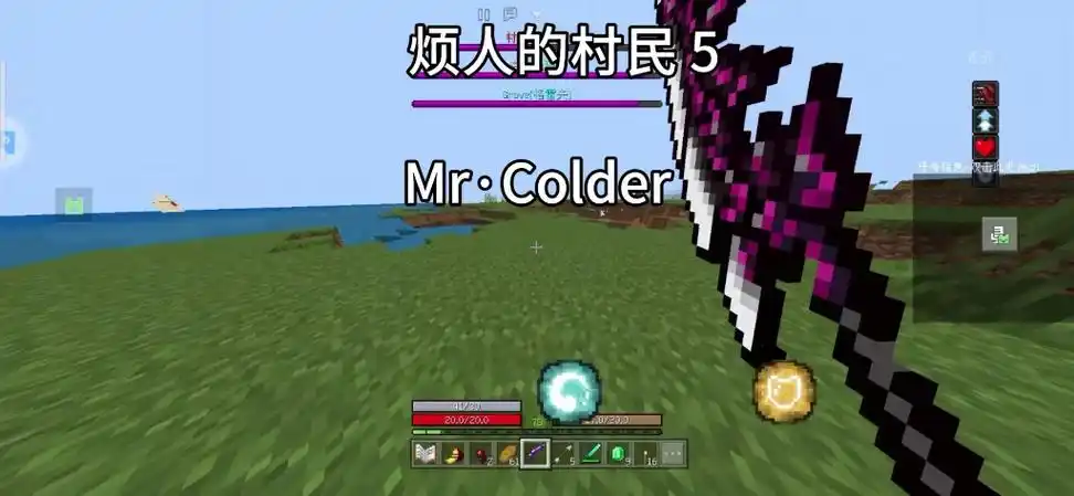烦人的村民5 mr.colder