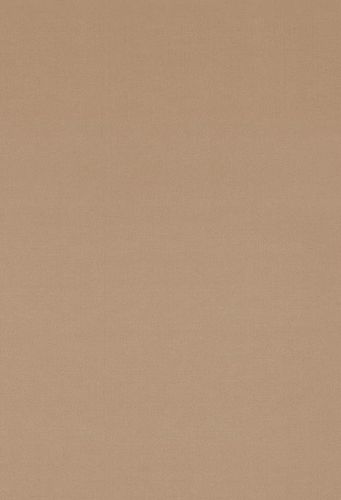 古装纯色春节素色中国风背景工笔画背景布古装全家福背景pz1722