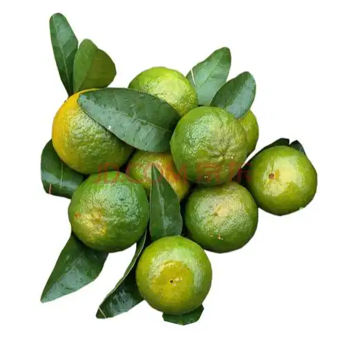 【保留】广西清香蜜桔砂糖橘纯甜无酸青香桔巴西桔新鲜水果青皮蜜橘带