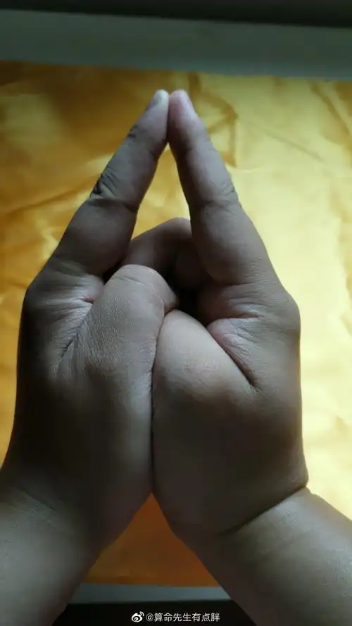 在佛藏大毗卢遮那佛眼修行仪轨中,有专门讲其真言的修法,要注意其手印