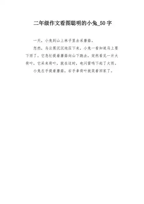 二年级作文看图聪明的小兔50字