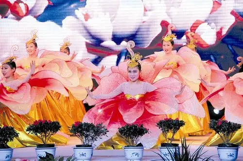 舞蹈《花开盛世》