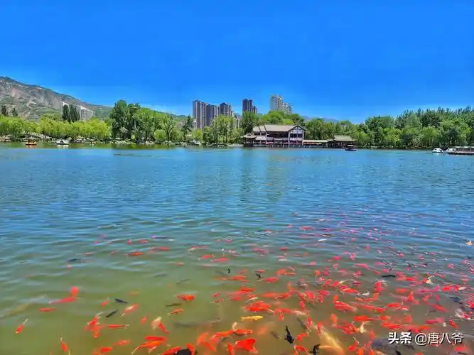西宁的夏天山清水秀,晴朗湛蓝的高空万里无云,像碧玉一样澄澈,灵动