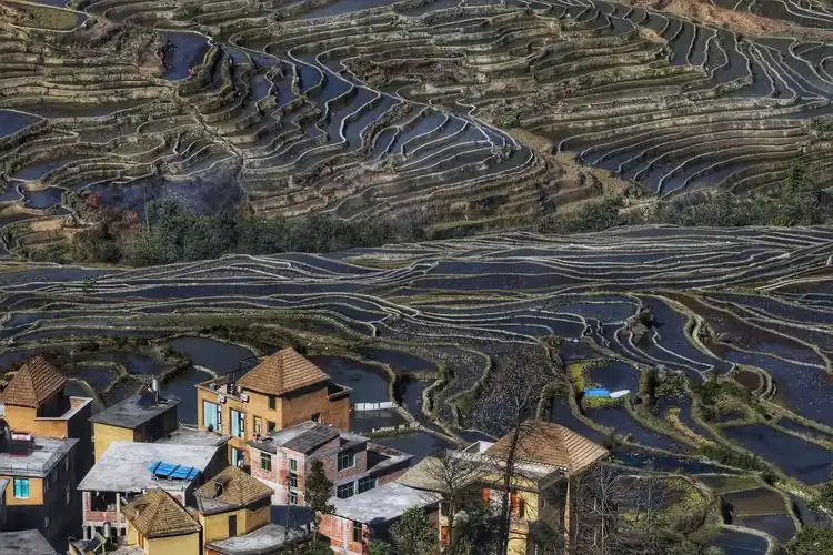 元阳梯田
