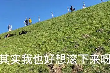 滚草地_百度视频搜索