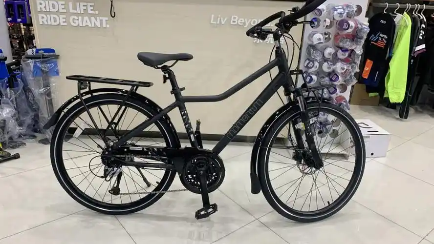 捷安特-爱喜350,旅行车#捷安特