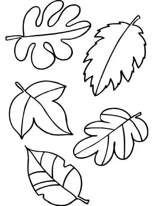 树叶简笔画 树叶简笔画彩色