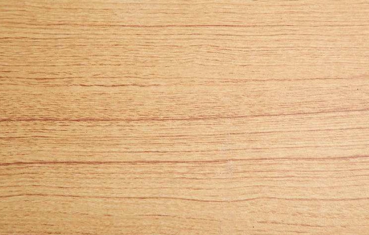 木材知识8226榉木是什么木