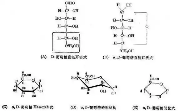 葡萄糖的结构式