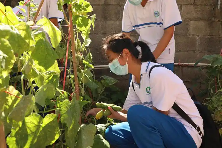 学史力行瓜果献党钦州一中五育融合学生劳动实践成果展