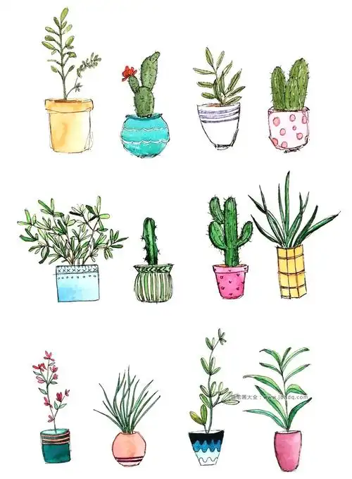 27个漂亮的小盆栽手帐插画