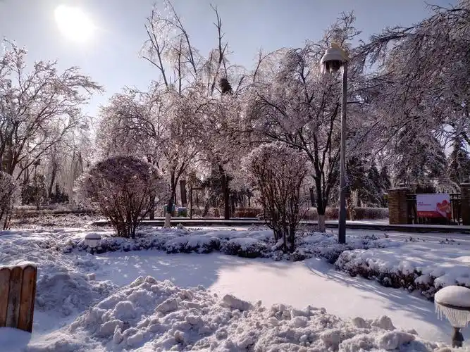 长春2020年冬天的第一场雪