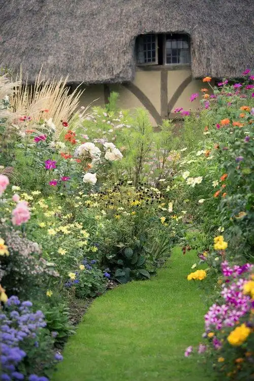 温馨小院,春暖花开