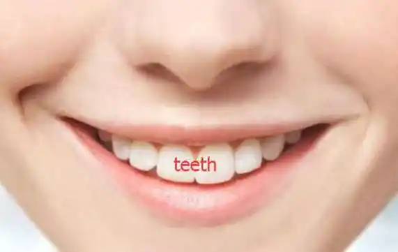 teeth-teeth