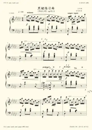 钢琴谱:chopin肖邦练习曲( op.10 no.5 黑键)