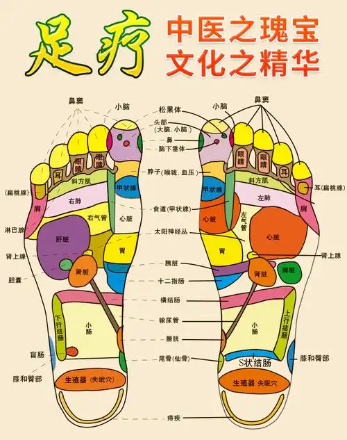 控制方式:机械式按摩手法:无特色功能:立体折叠理疗方式:传导热疗法