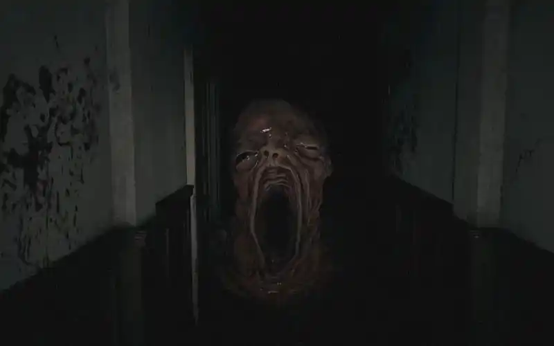 生化危机8 最恐怖的一期恐怖巨婴 第九期