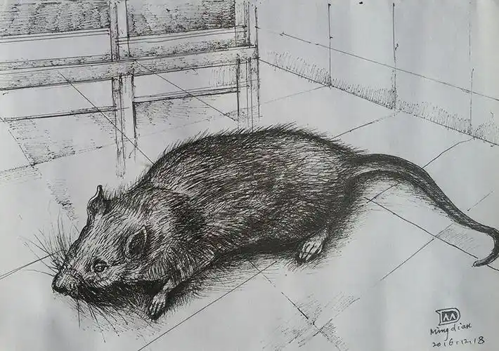 【自由的出生】 赖明典纸本作品(圆珠笔)