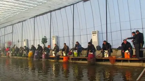 冬天室内钓鱼的好地方,这里的罗非鱼28块钱一斤