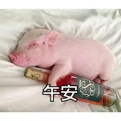 午安啦(猪猪喝酒)