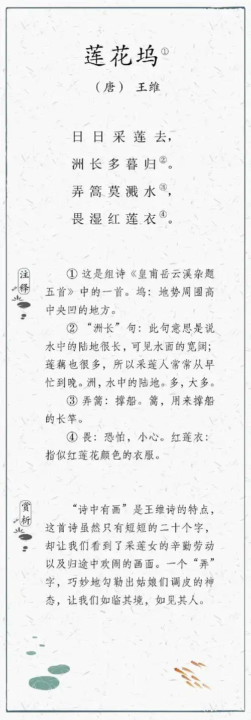 日有所诵005-莲花坞-唐-王维