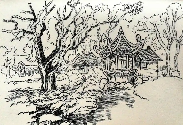 钢笔画19公园一角