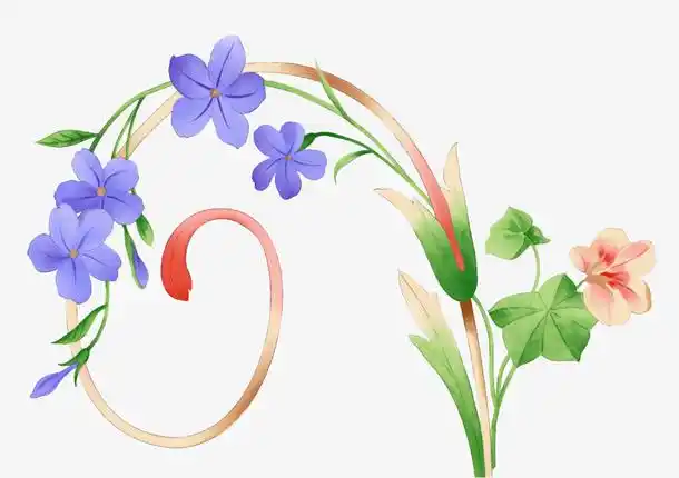 点缀性的花边免扣