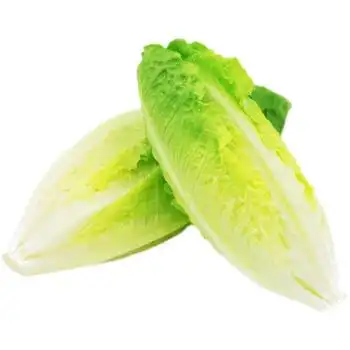 新鲜罗马生菜包罗生菜包心罗纹蔬菜沙拉生菜500g即食绿色西餐沙拉500g