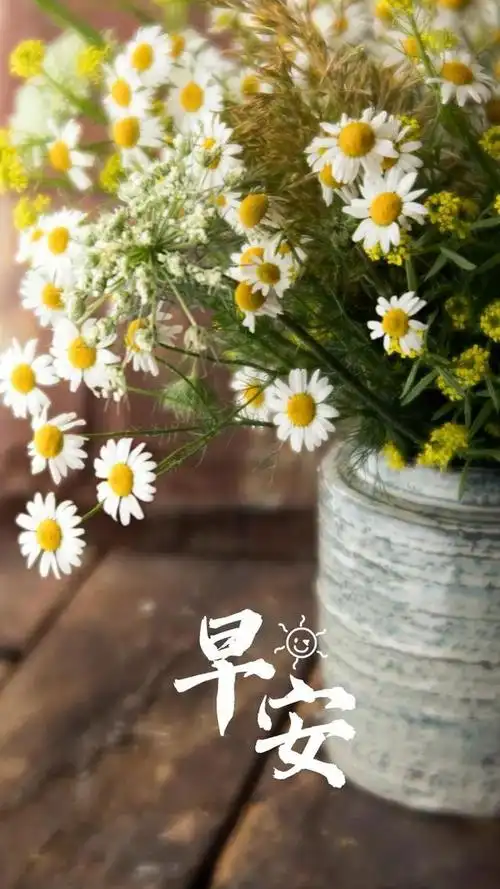 早安正能量句子语录早上好问候图片