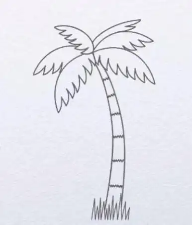 海边椰树风景简笔画图片儿童学画椰子树简笔画又简单又好看的椰子树简