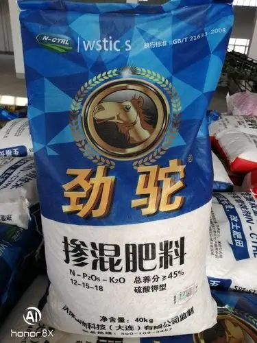 2020年阜阳马寨劲驼生姜田间观摩会