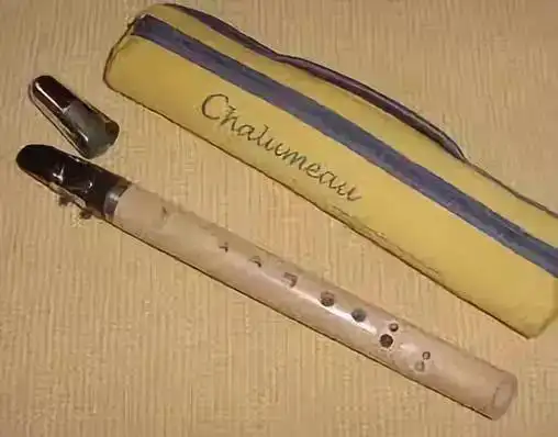 宇宙最难学乐器之一的单簧管你懂它吗接男神名单公布