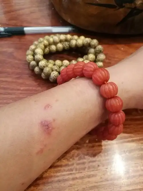 天载:山精水灵,动物不只会报恩,还会报仇! - 简书