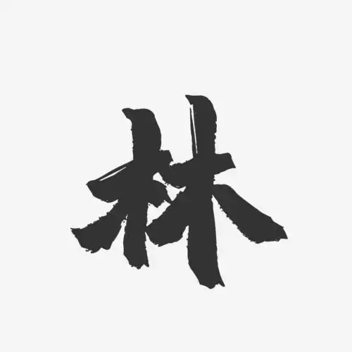 字魂网 艺术字 林-镇魂手书字体签名设计 图片品质:原创设计 图片编号