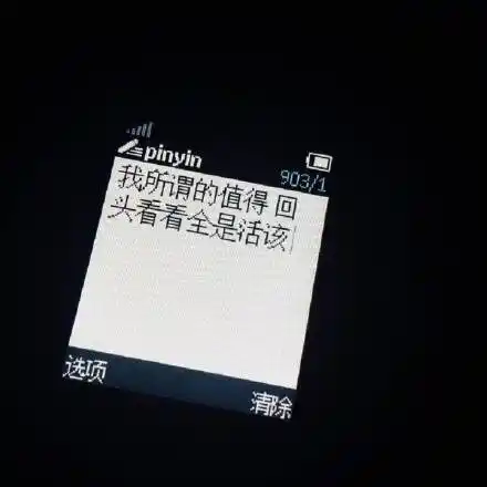 我所谓的值得,回头看看全是活该 - nokia 诺基亚短信表情包系列