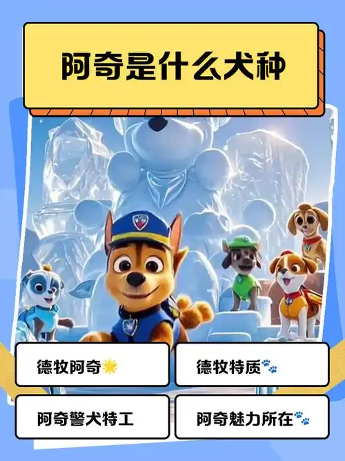 阿奇是什么犬种